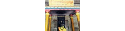 249. திருஇலம்பையம் கோட்டூர்